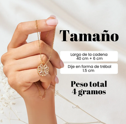 Collar Trébol de 4 Hojas Suerte & Caja De Regalo